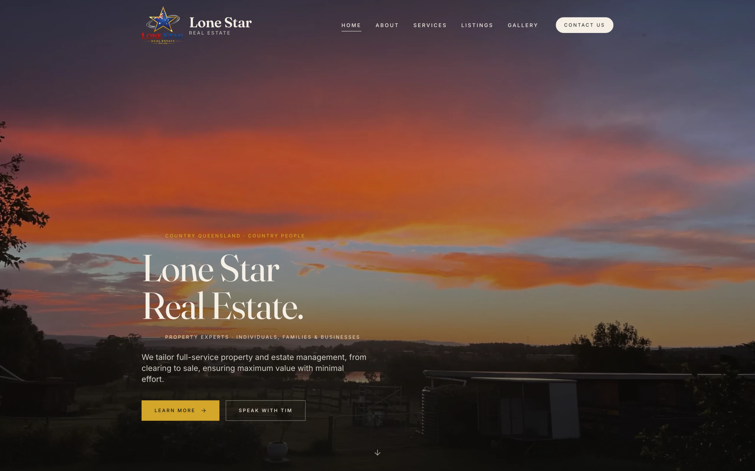 Lone Star Real Estate website screenshot